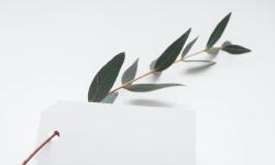 Featured image of post Chinese Test（Test）